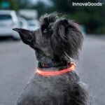 LED ovratnica za hišne ljubljenčke Petlux InnovaGoods
