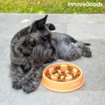 Posoda za počasno hranjenje za hišne ljubljenčke Slowfi InnovaGoods