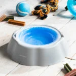Hladilna posoda za vodo za hišne ljubljenčke Freshty InnovaGoods