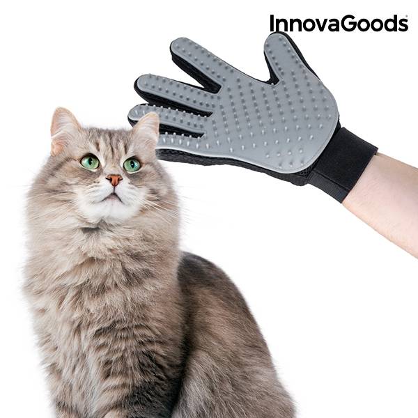 Krtača in masažna rokavica InnovaGoods