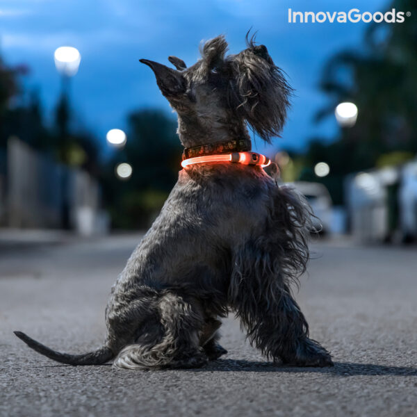 LED ovratnica za hišne ljubljenčke Petlux InnovaGoods