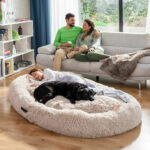 Antistresna postelja za hišne ljubljenčke za ljudi Cloft InnovaGoods XXL Beige