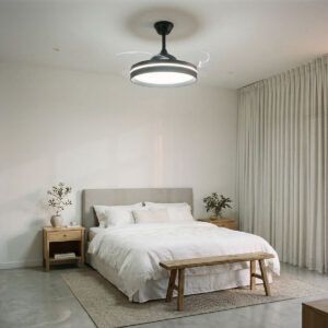 4 zložljivimi lopaticami in daljinskim upravljalnikom InnovaGoods